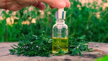 Kekik özü şişede. Seçici odaklanma. Doğa.