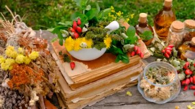 Şifalı bitkiler ve çiçekler homeopati seçici odak noktası. Doğa.