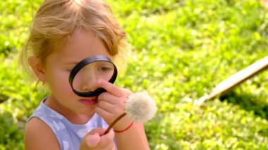 Bir çocuk büyüteçten bir karahindibaya bakıyor. Seçici odaklanma. Çocuk