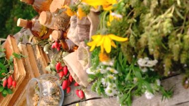 Şifalı bitkiler ve çiçekler homeopati seçici odak noktası. Doğa.