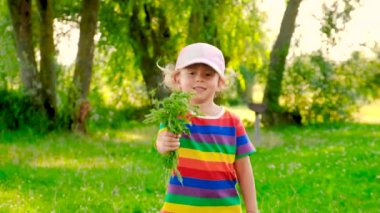 Çalı çırpı tarlasında bir çocuk. Seçmeli odaklanma. Doğa.