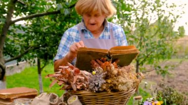 Şifalı otları olan bir kadın. Seçici odaklanma. Doğa.