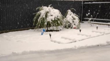 Çocuklar karlı bir günde kışın karla oynuyorlar. Seçici odaklanma. Çocuk.