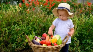 Bahçede sebze hasadı olan çocuk. Seçici odaklanma. Doğa.