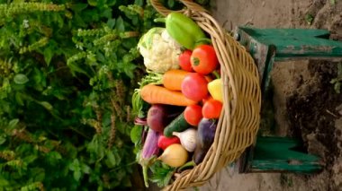 Bahçede sebze hasadı olan çocuk. Seçici odaklanma. Doğa.