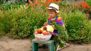 Bahçede sebze hasadı olan çocuk. Seçici odaklanma. Doğa.