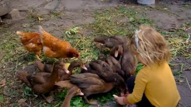 Çocuk çiftlikteki ördek ve tavuklara ot yediriyor. Seçici odaklanma. Doğa.