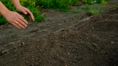 Toprağı elinde tutan bir adam. Seçici odaklanma. Doğa.