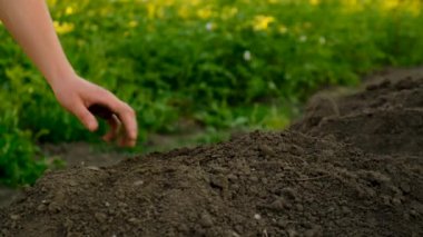 Toprağı elinde tutan bir adam. Seçici odaklanma. Doğa.