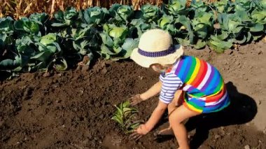 Çocuk toprağa bir ağaç diker. Seçici odaklanma. Doğa.