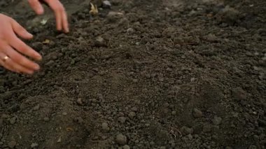 Toprağı elinde tutan bir adam. Seçici odaklanma. Doğa.