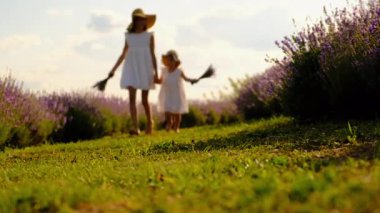 Lavanta tarlasında bir çocuk. Seçici odaklanma. Doğa.