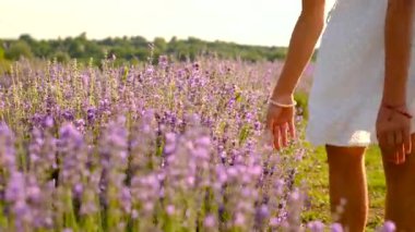 Lavanta tarlasında bir çocuk. Seçici odaklanma. Doğa.
