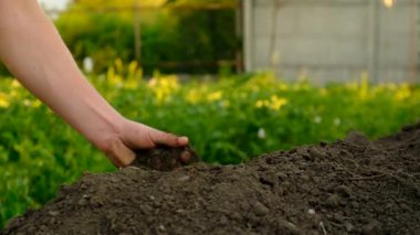 Toprağı elinde tutan bir adam. Seçici odaklanma. Doğa.