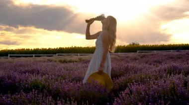 Lavanta tarlasında bir kadın. Seçici odaklanma. Doğa.