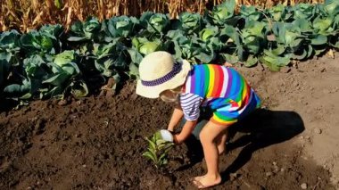 Çocuk toprağa bir ağaç diker. Seçici odaklanma. Doğa.