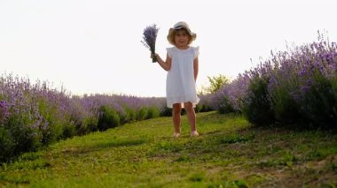 Lavanta tarlasında bir çocuk. Seçici odaklanma. Doğa.