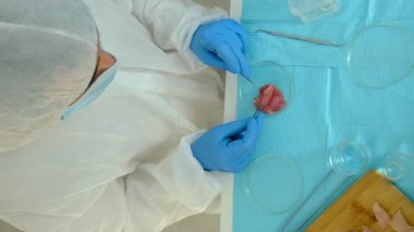 Laboratuvarda yiyecek araştırması. Seçici odaklanma. Doğa.