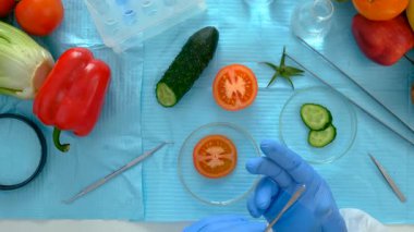 Laboratuvarda yiyecek araştırması. Seçici odaklanma. Doğa.