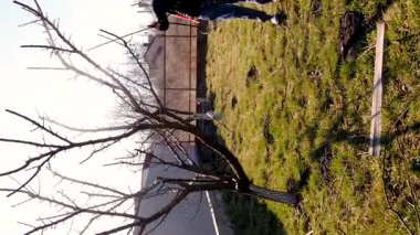 İlkbaharda ağaçlar böcek ilaçlama kontrolü yapar. Seçici odaklanma. Doğa.