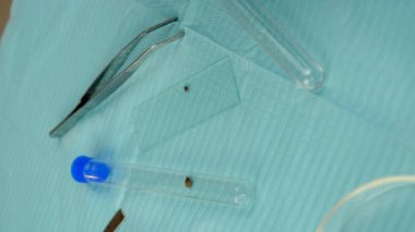 Laboratuvardaki test tüpüne tik tak. Seçici odaklanma. Doğa.