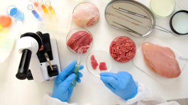 Laboratuvarda eti inceleyin. Seçici odaklanma. Yiyecek..