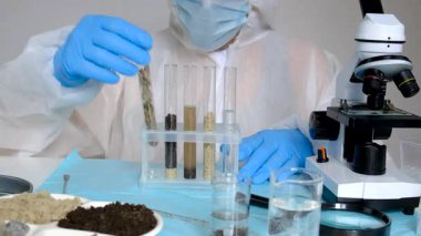 Laboratuvarda toprak testi. Seçici odaklanma. Doğa.