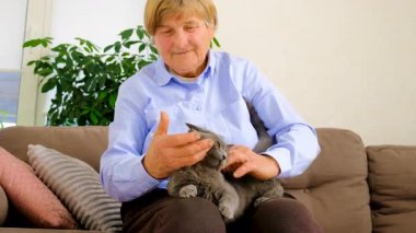 Kedili yaşlı kadın. Seçici odaklanma. İnsanlar,