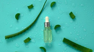 aloe vera özü ve kapsüller. Seçici odaklanma. Doğa.