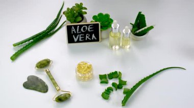 aloe vera özü ve kapsüller. Seçici odaklanma. Doğa.