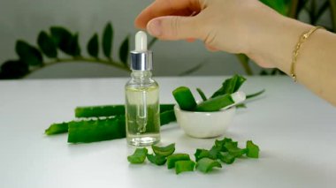 aloe vera özü ve kapsüller. Seçici odaklanma. Doğa.
