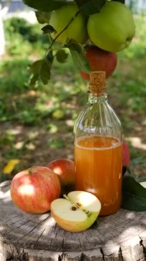 Bahçede elma sirkesi. Seçici odaklanma. Doğa.