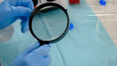 Laboratuvardaki test tüpüne tik tak. Seçici odaklanma. Doğa.