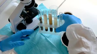 Laboratuvarda toprak testi. Seçici odaklanma. Doğa.