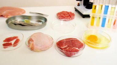 Laboratuvarda eti inceleyin. Seçici odaklanma. Yiyecek..