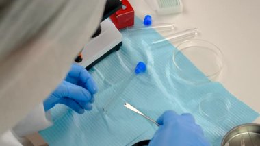 Laboratuvardaki test tüpüne tik tak. Seçici odaklanma. Doğa.