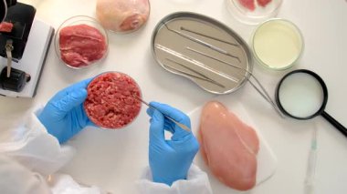 Laboratuvarda eti inceleyin. Seçici odaklanma. Yiyecek..