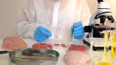 Laboratuvarda eti inceleyin. Seçici odaklanma. Yiyecek..