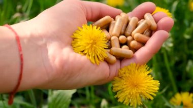 Karahindiba özü ve homeopatik takviyeler. Seçici odaklanma. Doğa.
