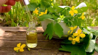 Şifalı bitkisel selandin özü ve diyet takviyeleri. Seçici odaklanma. Doğa.