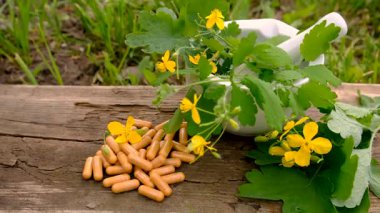 Şifalı bitkisel selandin özü ve diyet takviyeleri. Seçici odaklanma. Doğa.