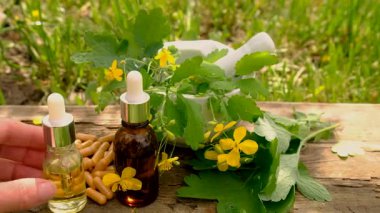 Şifalı bitkisel selandin özü ve diyet takviyeleri. Seçici odaklanma. Doğa.