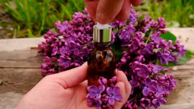 Leylak çiçeği özü ve diyet takviyeleri. Seçici odaklanma. Doğa.