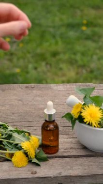 Karahindiba özü ve homeopatik takviyeler. Seçici odaklanma. Doğa.