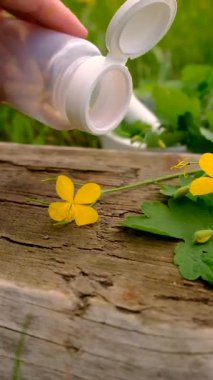 Şifalı bitkisel selandin özü ve diyet takviyeleri. Seçici odaklanma. Doğa.