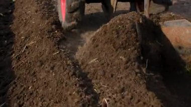 Bahçede toprak yetiştiren traktör. Seçici odaklanma. Doğa.