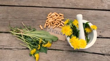 Karahindiba özü ve homeopatik takviyeler. Seçici odaklanma. Doğa.