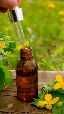 Şifalı bitkisel selandin özü ve diyet takviyeleri. Seçici odaklanma. Doğa.