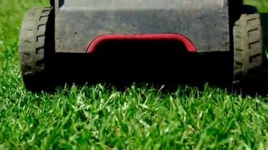 Çim biçme makinesiyle çim biçmek. Seçici odaklanma. Doğa.