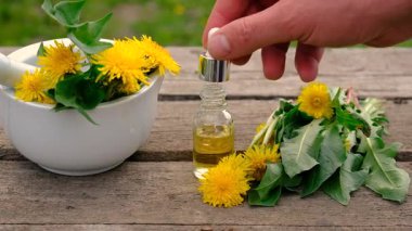 Karahindiba özü ve homeopatik takviyeler. Seçici odaklanma. Doğa.